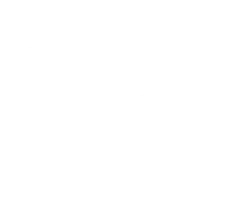 experiencia y servicio personalizado en logística
